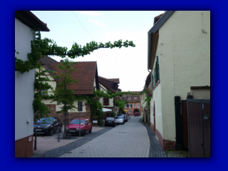 P1010071.jpg